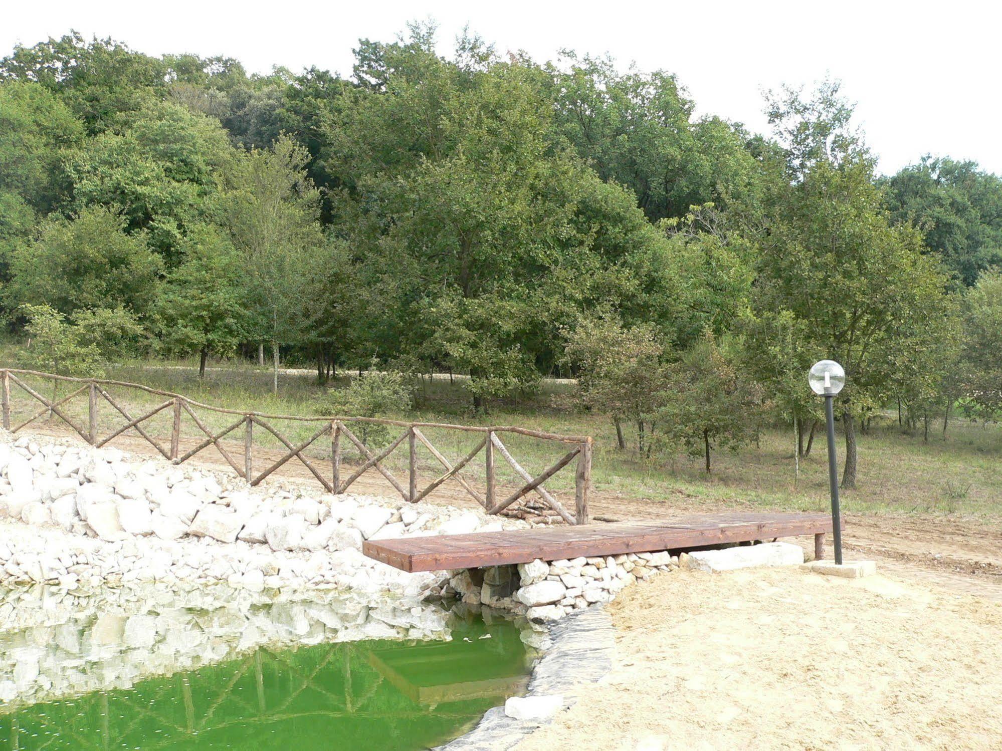 Agriturismo Il Casale Delle Ginestre 菲乌米奇诺 外观 照片